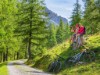 Billede 29
