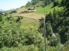 Billede 9 - Ude