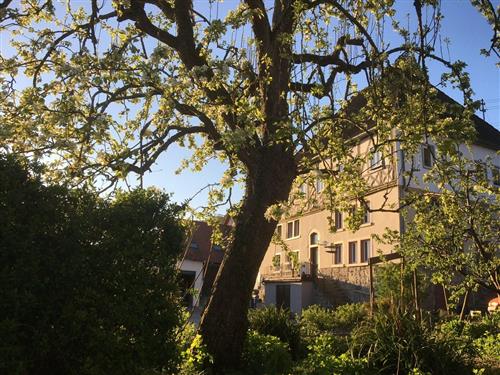 Ferielejlighed - 2 personer -  - Brunnenstraße - 97922 - Lauda-Königshofen