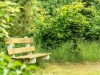 Billede 21 - Grund