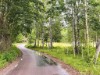 Bild 17 - Ude