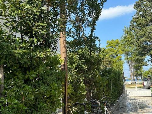 Holiday apartment - 2 persons -  - Privlaka - 23233