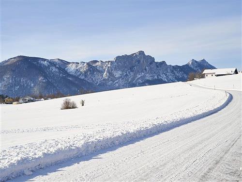 Semesterhus/Semesterlägenhet - 5 personer -  - Baumgarten - 5311 - Innerschwand Am Mondsee