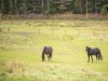 Bild 19 - Ude