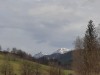 Bilde 8