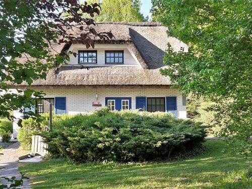 Feriehus / leilighet - 4 personer -  - Am Pappelhof - 18574 - Poseritz