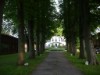 Bild 21