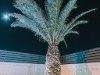 Image 39 - Outside