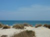 Bild 17