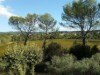Bilde 35