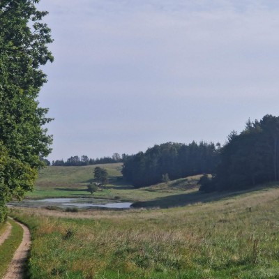 Billede 4