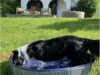 Bild 22
