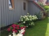Bild 41