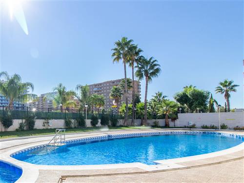 Holiday apartment - 4 persons -  - Oropesa Del Mar - 12594