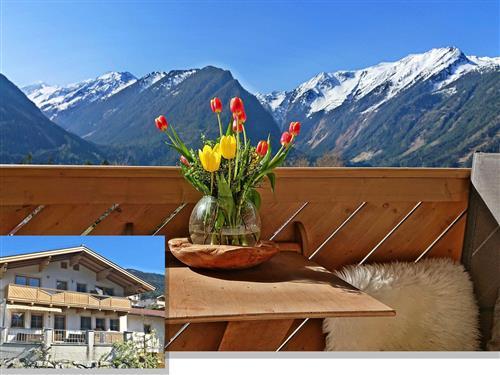 Holiday apartment - 8 persons -  - Roßberg - 5741 - Neukirchen Am Großvenedig