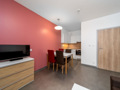 Holiday apartment - 4 persons -  - 542 25 - Janské Lázne