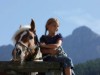 Bild 14