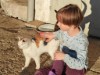 Bild 16