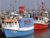 Billede 21