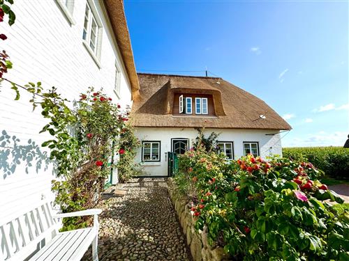 Ferienhaus - 3 Personen -  - Groß Dunsum - 25938 - Dunsum