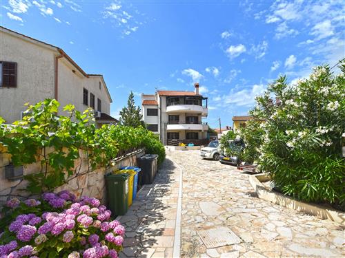 Ferieleilighet - 2 personer -  - Barbariga - 52215