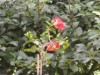 Bild 16
