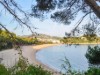 Billede 37