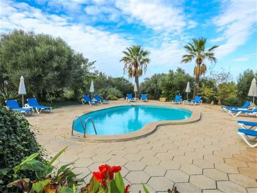 Fritidshus - 12 personer -  - Llucmajor - 07620