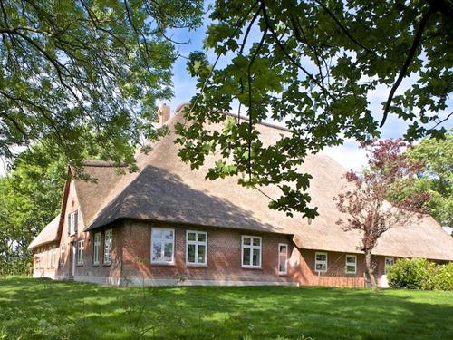 Ferieleilighet - 4 personer -  - Dorfstr. - 25836 - Welt