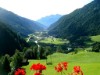 Bilde 3