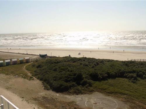 Ferienhaus - 4 Personen -  - 62600 - Berck-Plage