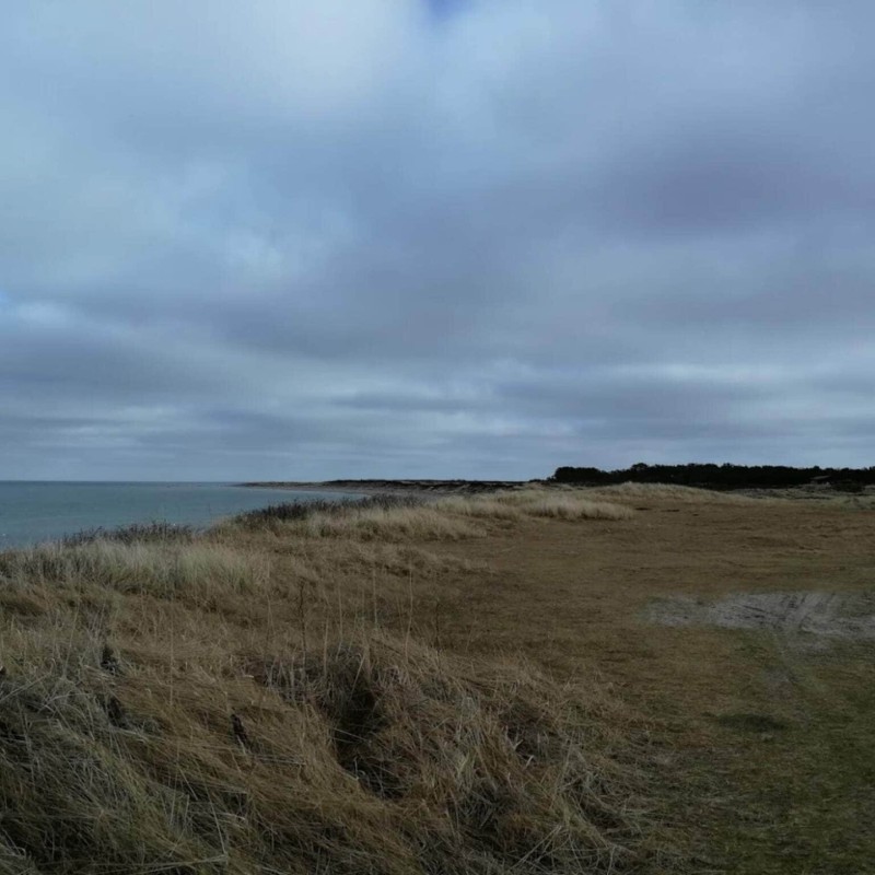 Ferienhaus - 6 Personen -  - Rådyrvej - 9940 - Läsö