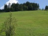 Image 23