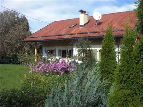 Holiday apartment - 4 persons -  - Niederhöfen - 87484 - Nesselwang