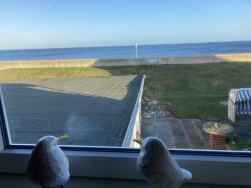 Ferienwohnung - 2 Personen -  - Leuchtturmstraße - 23747 - Dahme
