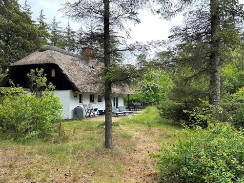 Sommerhus - 4 personer -  - Kjærgaardvej - Vester Husby - 6990 - Ulfborg