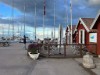 Bilde 12 - Ude
