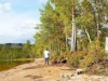 Bild 42