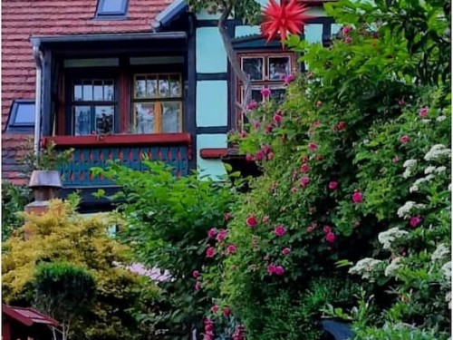 Feriehus - 4 personer -  - 06484 - Quedlinburg