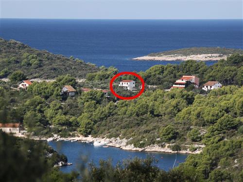 Ferielejlighed - 3 personer -  - Put Šešule 10, Maslinica - 21430 - Grohote