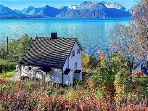 Feriehus / leilighet - 6 personer -  - Lyngenfjordveien - Lyngen - 9146 - Olderdalen