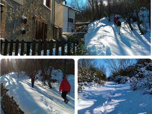 Ferieleilighet - 7 personer -  - Roccamontepiano - 66010