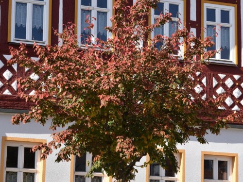 Semesterlägenhet - 6 personer -  - Ferienhaus \"Zum Goldnen Löwen\"  Markt - 96476 - Bad Rodach