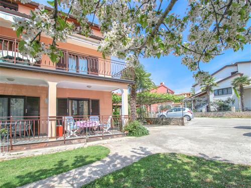 Ferieleilighet - 4 personer -  - Novigrad (Istra) - 52466