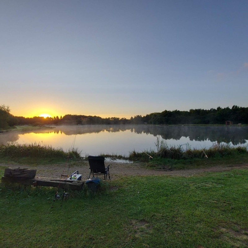 Sommerhus - 4 personer -  - Midtparken - Arrild - 6520 - Toftlund