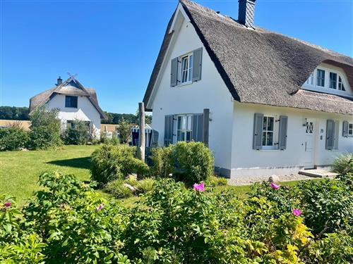 Sommerhus - 3 personer -  - De Poeler Drift - 23968 - Zierow