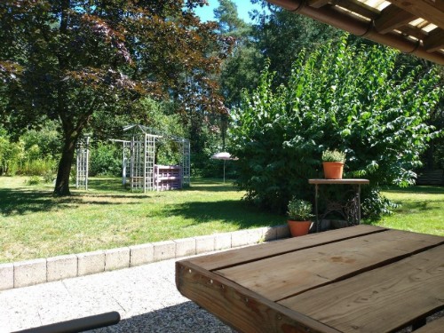 Sommerhus - 4 personer -  - Celler Straße - 29386 - Dedelstorf