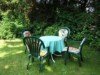 Bild 12