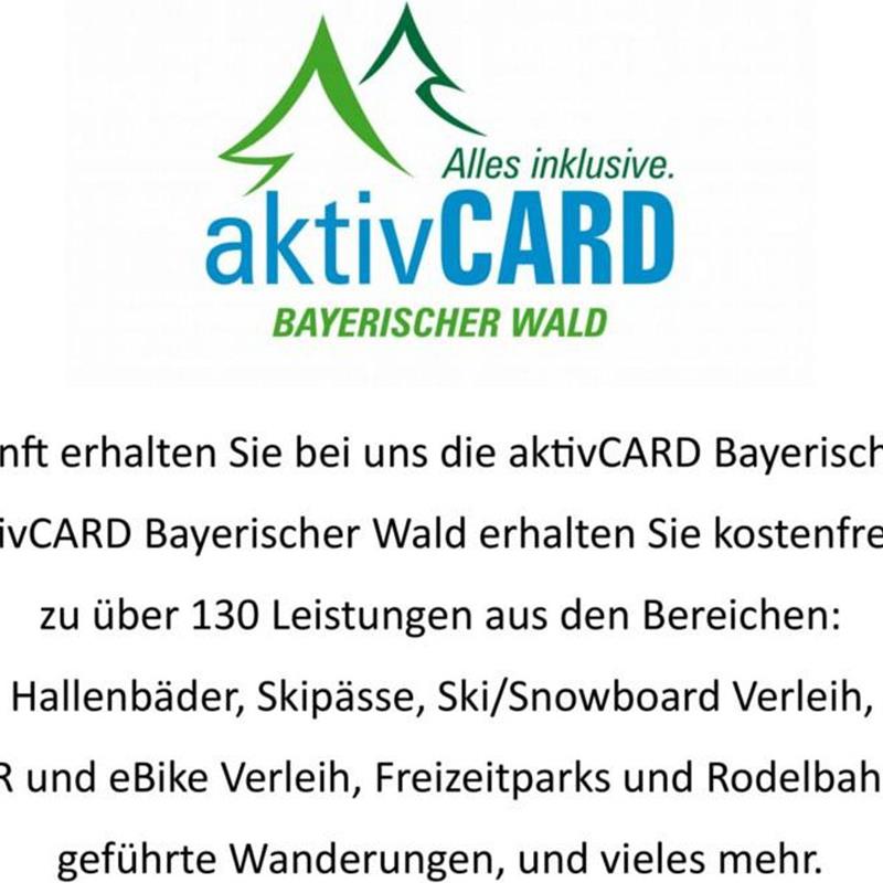 Ferielejlighed - 2 personer -  - Lehmgrubenweg - 94249 - Bodenmais