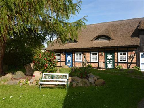 Ferielejlighed - 5 personer -  - Dorfstr. - 18586 - Middelhagen